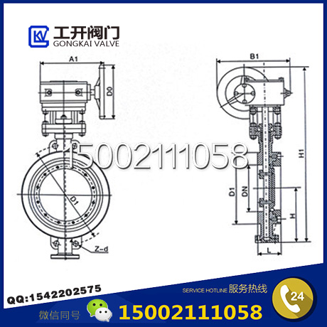 D373H不銹鋼渦輪對(duì)夾蝶閥結(jié)構(gòu)圖