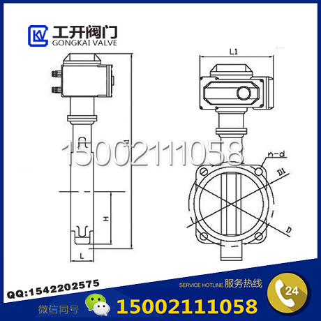 D971X電動對夾蝶閥結(jié)構(gòu)圖