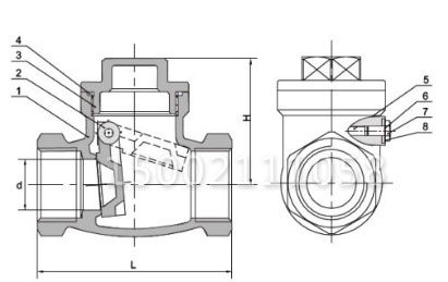 H14W不銹鋼絲扣止回閥結(jié)構(gòu)圖