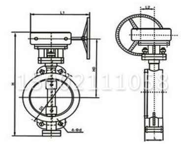 D373H渦輪對(duì)夾式硬密封蝶閥結(jié)構(gòu)圖