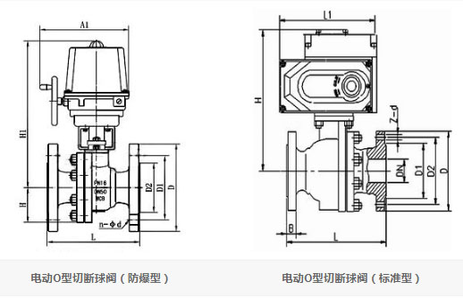 ZDRO電動(dòng)O型切斷球閥結(jié)構(gòu)圖