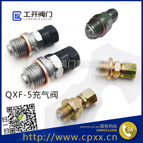 QXF型充氣閥-蓄能器充氣閥-液壓充氣閥-蓄能器用充裝氮?dú)庥脝蜗蜷yQXF-5